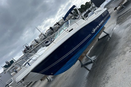 Location Bateau à moteur Kelt Marine White shark 236 La Trinité-sur-Mer