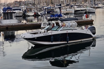 Miete Motorboot Sea Ray Frowins Torrevieja
