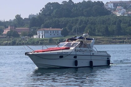Hire Motorboat Princess Riviera 286 Porto