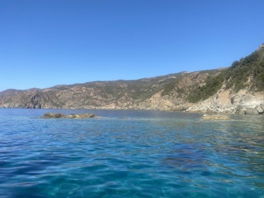 Galéria Motorboat Cap Camarat 9.0 CC alt tag text