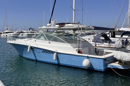 Miete Motorboot Viking 43 Open Roses
