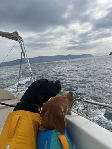 Spezia Without license DISCOVER LA SPEZIA COAST alt tag text