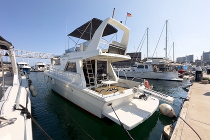 Hire Motorboat Gallart 13.50 Barcelona