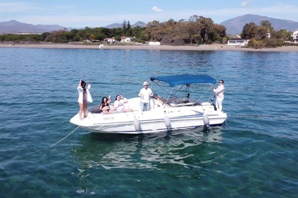 Location Bateau à moteur Sea Ray 240 Sundeck Marbella
