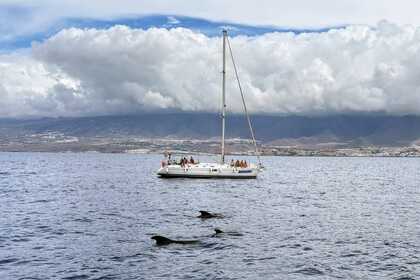 Miete Segelboot Beneteau Oceanis 44 Costa Adeje