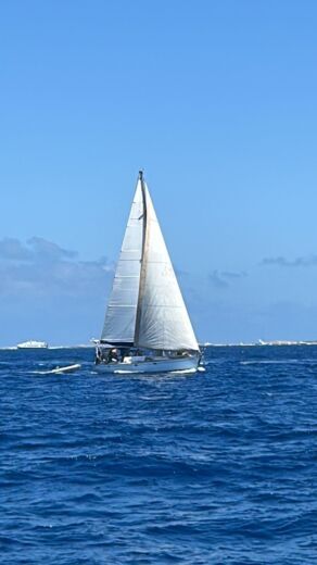 Ibiza Sailboat Jeanneau Sun Kiss 47 14'50 metros alt tag text