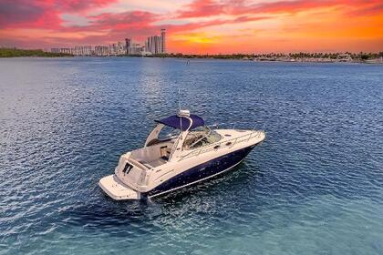 Alquiler Lancha Sea Ray Sundancer 300 Alcocéber