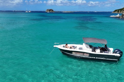 Hire Motorboat Kelt White shark Saint Martin