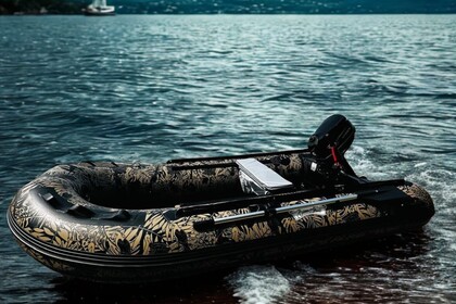 Location Bateau sans permis  Océan skull Ryb-300 jungle or Six-Fours-les-Plages