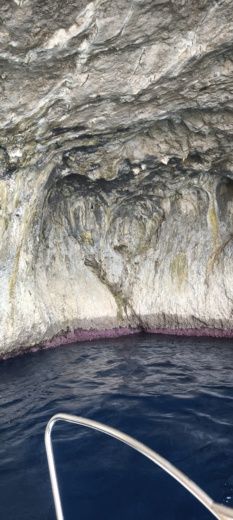 Capri Motorboat SPEEDY Cayman 585 alt tag text