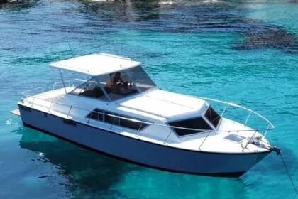 Rental Motorboat AIFO spa FIAT 806 SM Palau