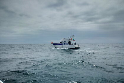 Aluguel Lancha RODMAN 1100 Cascais