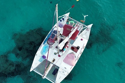 Hire Catamaran Wharram Tangaroa 37 Ibiza