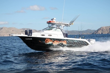 Charter Motorboat PROLINE 27 Syvota