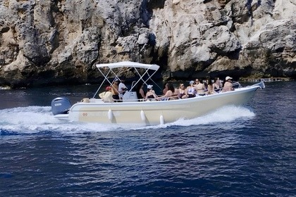 Charter Motorboat Nautica Liver 8,60 Castellammare del Golfo