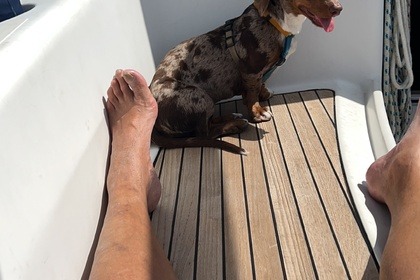 Verhuur Zeilboot Ronautica 400 Lavagna