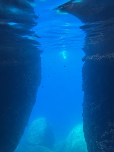 Atenas RIB Adam younger Blade 7 alt tag text