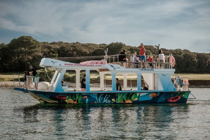 Hire Motorboat 1970 GLASSBOAT Fažana