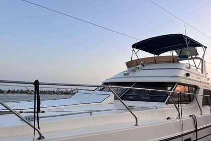 Miete Motorboot PRINCESS 385 FLY Chania