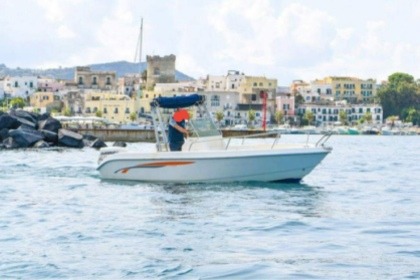 Hire Motorboat Terminal Boat Freestyle 21 Forio