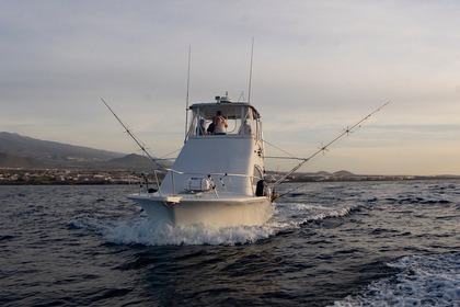 Charter Motorboat Luhrs 340 Amarilla Golf