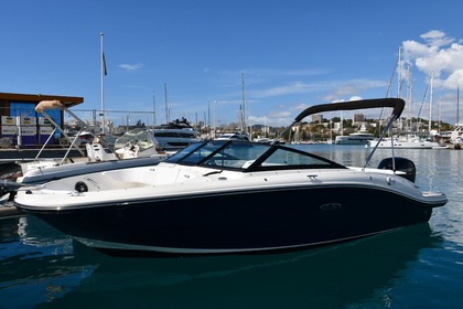 Charter Motorboat Sea Ray 190 SPX Sport 2024 Nice