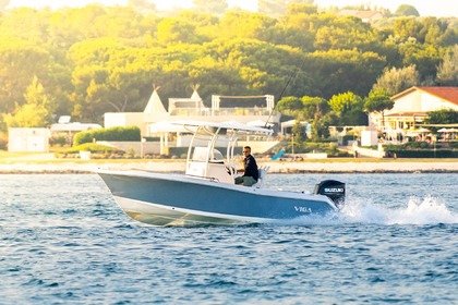 Charter Motorboat Viga Viga 22 Medulin