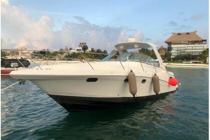 Miete Motorboot Sea Ray 40 Cancún