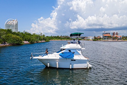 Charter Motorboat Sea Ray 300 sedan Mazatlán