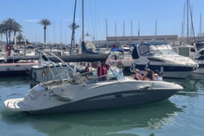 Miete Motorboot Sea Ray 260 SD Marbella