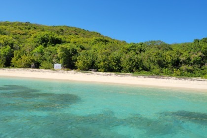 Miete Motorboot Pro Series ProKat Fajardo