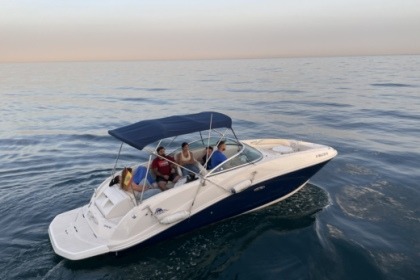 Rental Motorboat Sea Ray 260 SD Marbella
