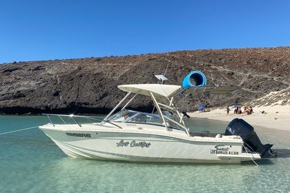 Rental Motorboat Scout 2006 La Paz