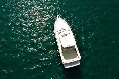Verhuur Motorboot Lever 30 Porto Ercole