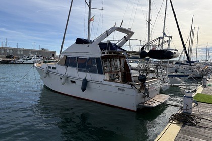 Alquiler Lancha Atticu 00 Valencia