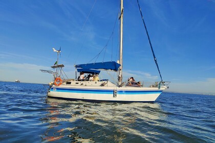 Aluguel Veleiro North Wind Mistral Lisboa