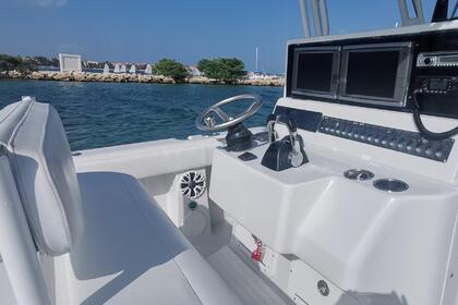 Hire Motorboat Palmetto 36 ft Puerto Aventuras