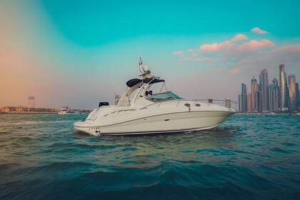 Miete Motoryacht Sea Ray Cruiser 40FT Dubai Marina