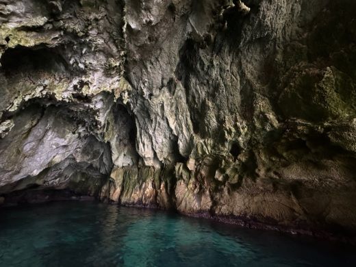 Syracuse Without license Blumax vari modelli alt tag text