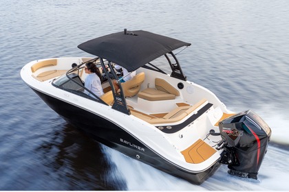 Hire Motorboat Bayliner V20 OB Garrucha