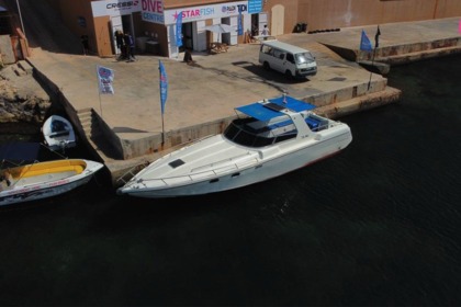 Miete Motorboot Tullio Abbate Abbate 46 Malta