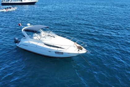 Rental Motorboat Sun Dancer 2007 Cabo San Lucas
