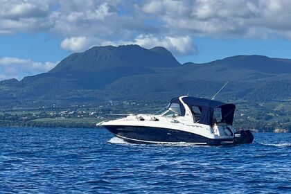 Miete Motorboot Sea Ray Sundancer 320 Pointe-à-Pitre