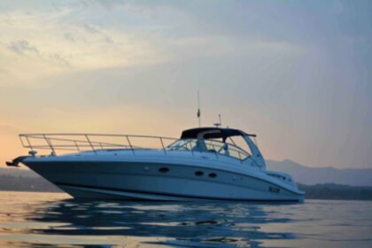 Verhuur Motorboot Sea Ray 455 Moniga del Garda