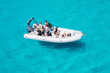 Charter RIB Sacs Marine S750 Trapani