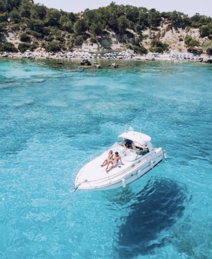 Motorboat Searay 290 Boot Grundriss