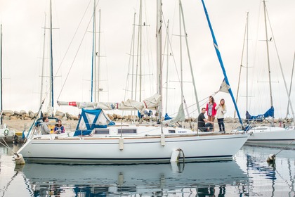 Alquiler Velero Peterson Peterson Algarrobo