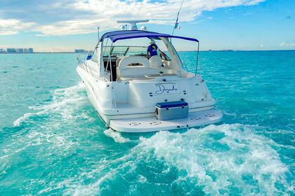 Hire Motorboat Sea Ray Sundancer 410 Cancún