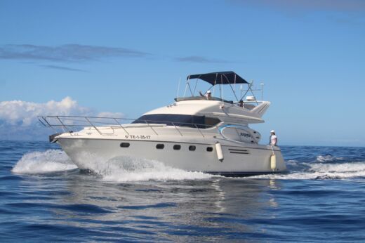 Motorboat frances princess Boat layout