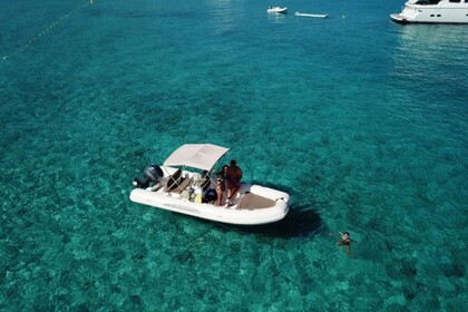 Hire RIB Capelli Capelli Tempest 530 Saint-Florent